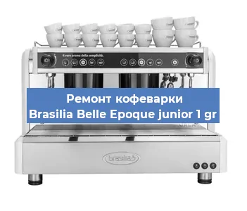 Ремонт заварочного блока на кофемашине Brasilia Belle Epoque junior 1 gr в Волгограде